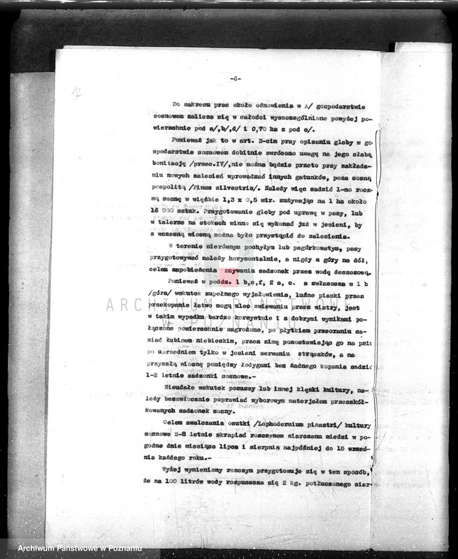 Obraz 11 z jednostki "/Nadzór nad gospodarką leśną gminy miasta Czarnkowa"