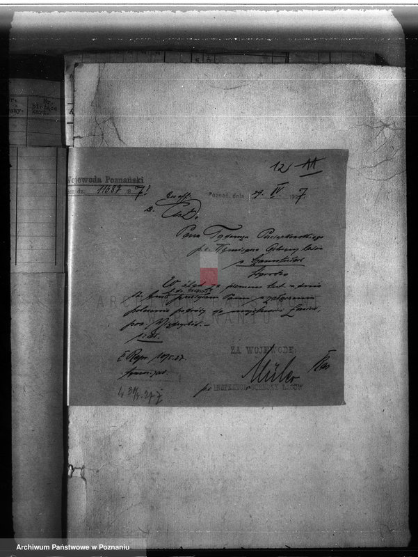 Obraz 16 z jednostki "Majętność leśna Ławica w powiecie międzychodzkim /nadzór nad gospodarką leśną/"