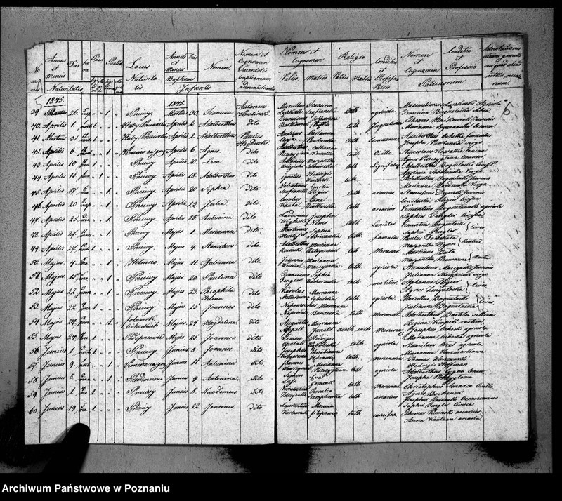 Obraz 6 z jednostki "Duplicat baptisatorum, copulatorum, mortuorum"
