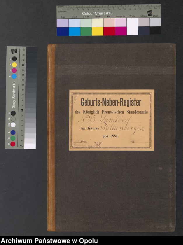 image.from.unit.number "Geburts-Neben-Register des Standesamts Lamsdorf No 15 pro 1881"