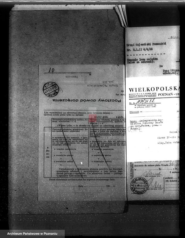 Obraz 14 z jednostki "Nadzór nad gospodarką w lasach majętności Tulce powiat średzki"