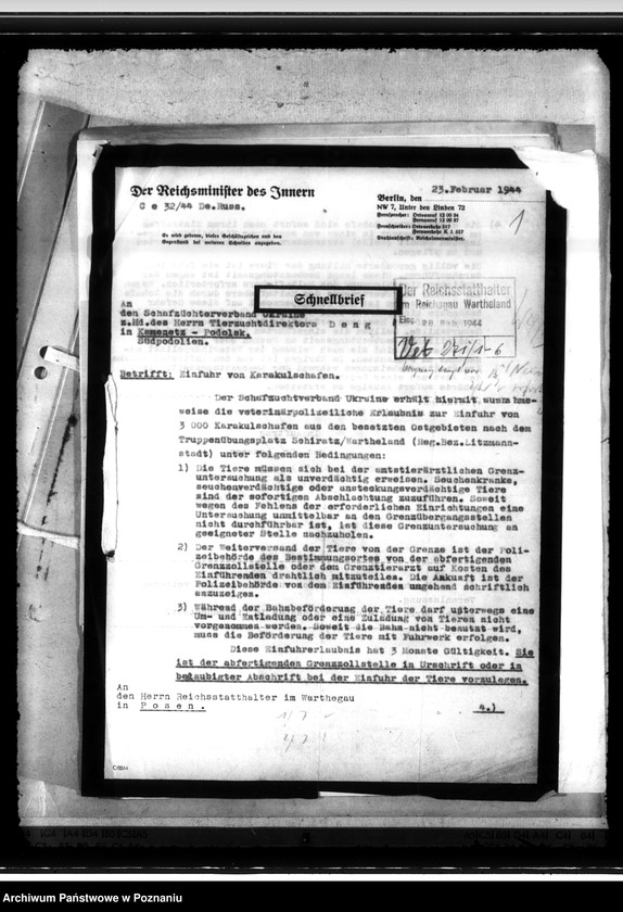 Obraz 5 z jednostki "Einfuhr von Karakulschafen aus den Besetzten Ostgebieten"