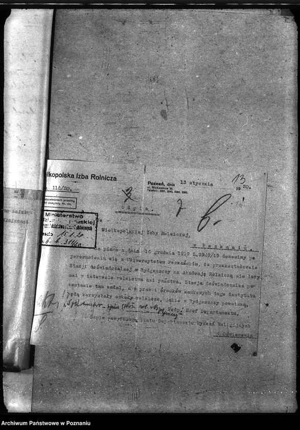 Obraz 17 z jednostki "Instytut Higieny Zwierząt w Bydgoszczy"