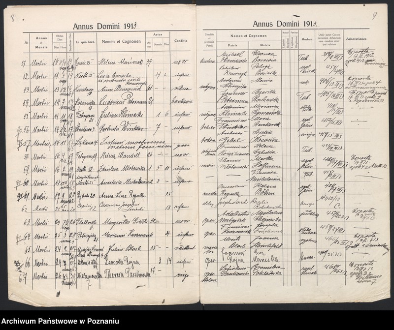 Obraz 7 z jednostki "Indeks zgonów"