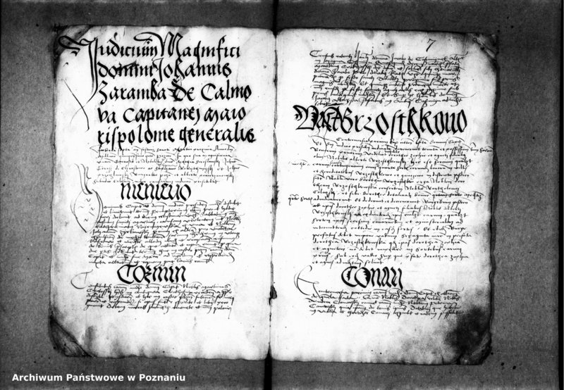 Obraz 12 z jednostki "Inscriptiones, relationes, decreta [inducta]"