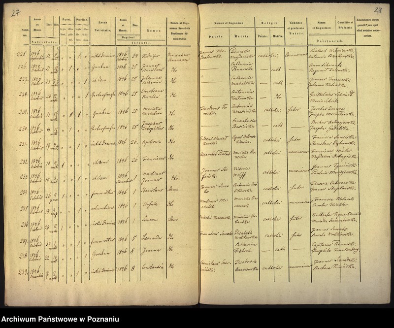 Obraz 16 z jednostki "Księga urodzin"