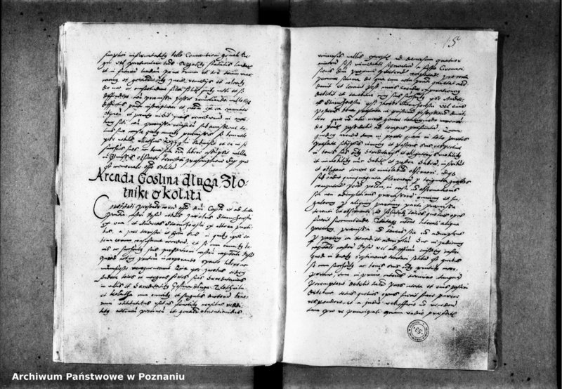 Obraz 19 z jednostki "Inscriptiones, relationes [inducta]"