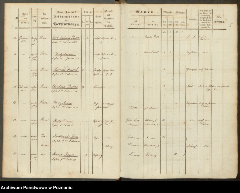 Obraz 6 z jednostki "Sterbenbuch"