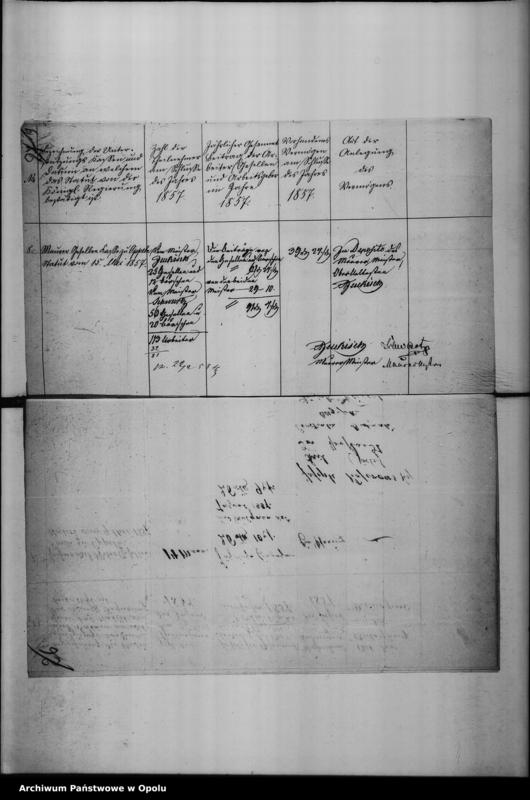 Obraz 18 z jednostki "Acta des Magistrats zu Oppeln betreffend die Hierorts vorhandenen gewerblichen Unterstützungs Kassen Vol. I"