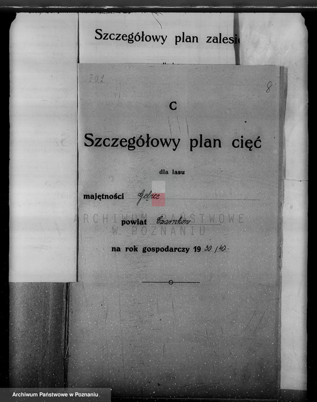 Obraz 12 z jednostki "/Nadzór nad lasami/ majątku Gębice powiatu czarnkowskiego"