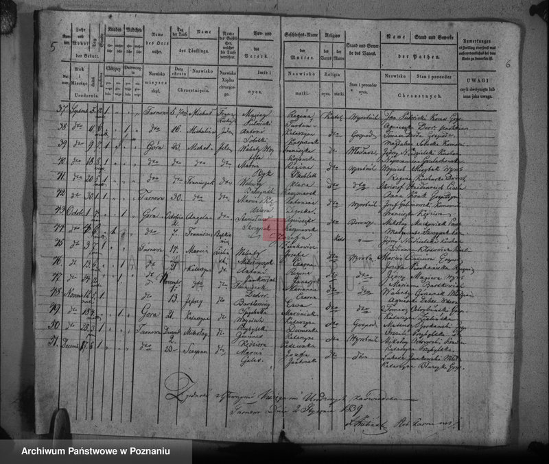 Obraz 6 z jednostki "Duplikat baptisatorum, copulatorum, mortuorum"