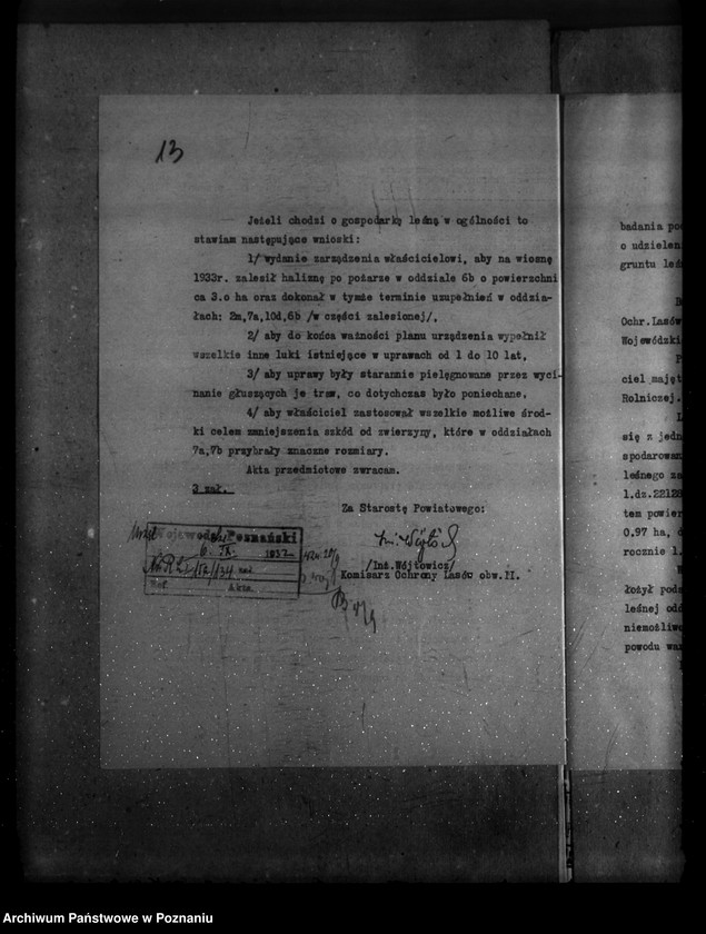 Obraz 17 z jednostki "Majętność leśna Zadory powiat kościański"