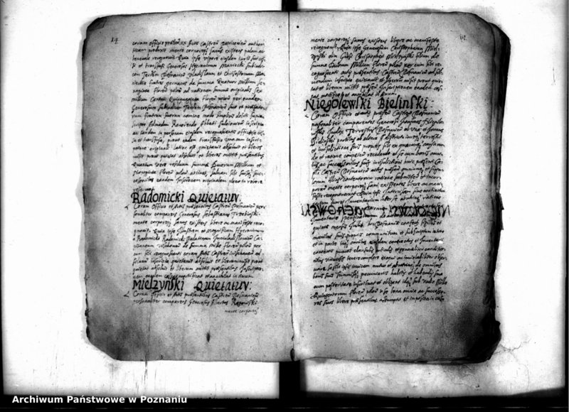 Obraz 16 z jednostki "Inscriptiones [inducta]"