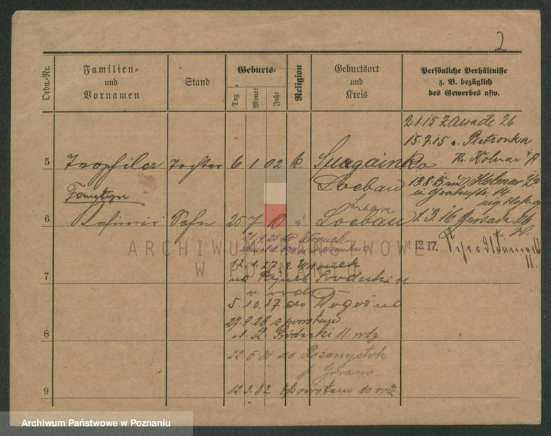 Obraz 7 z jednostki "Wardowski - Warszewski"