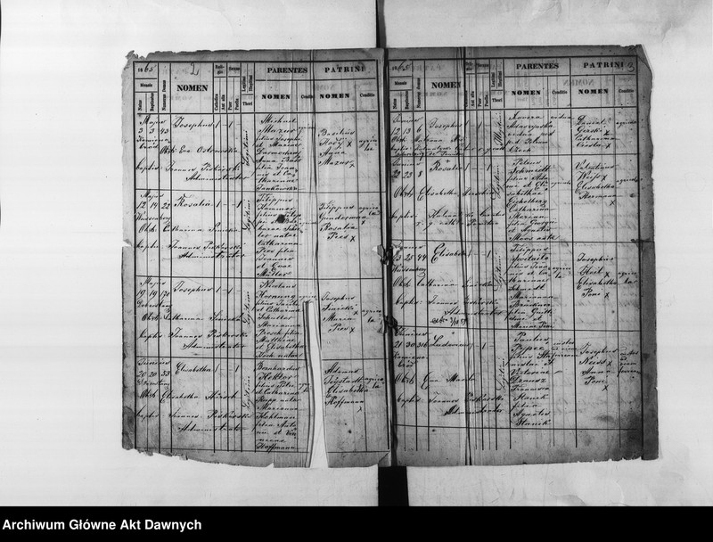 image.from.unit.number "Parafia: Białogóra (Weissenberg). Dekanat: Gródek Jagielloński. Księga metrykalna urodzeń dla całej parafii."