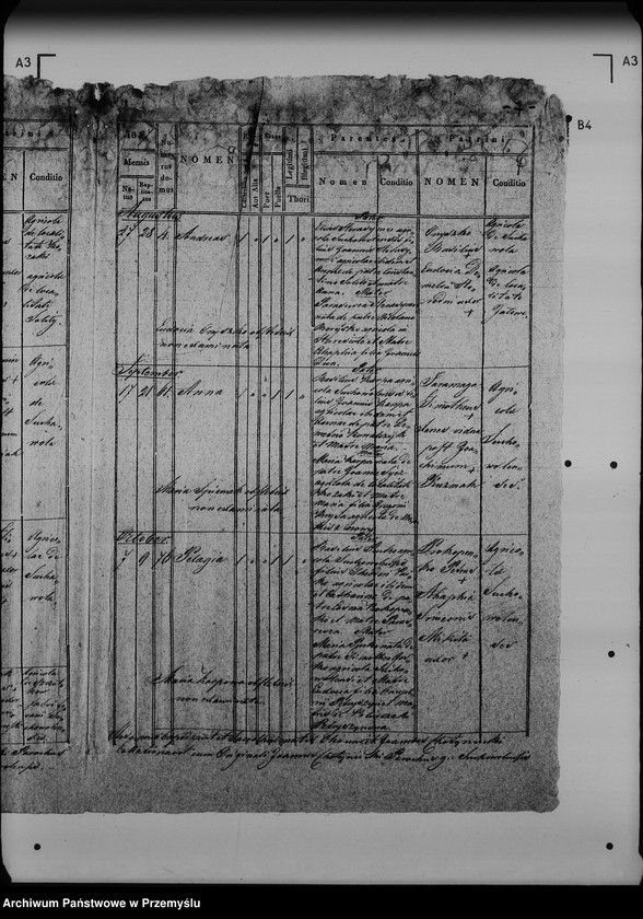 image.from.unit.number "[Kopie ksiąg metrykalnych parafii Sucha Wola (dekanat Lubaczów)]"