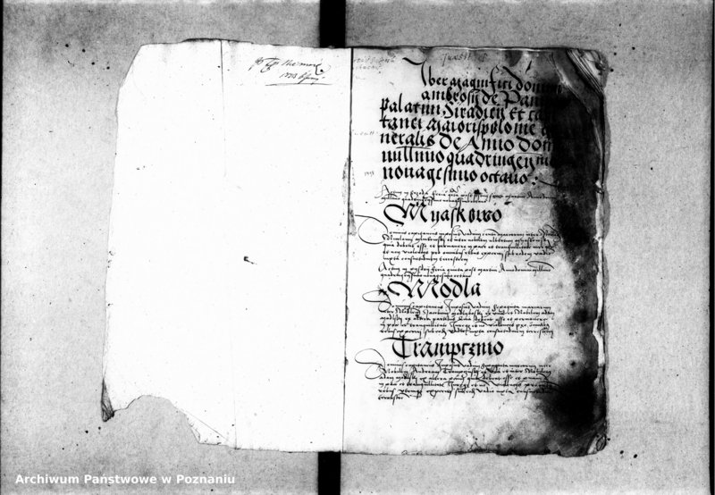 Obraz 7 z jednostki "Inscriptiones, relationes, decreta [inducta]"