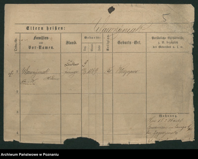 Obraz 14 z jednostki "Wawrzyniak (samotni mężczyźni i kobiety)"