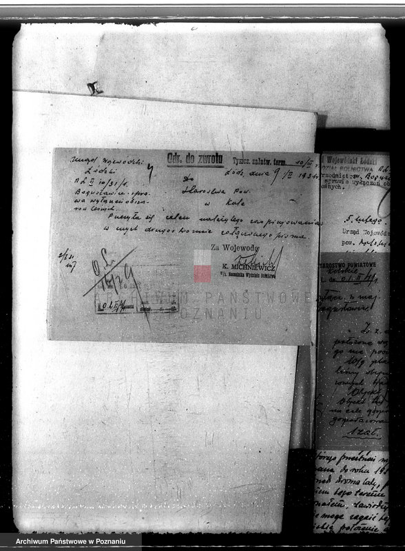 Obraz 8 z jednostki "Sprawa wyłączenia obszarów leśnych z majątku Bogusławice powiatu kolskiego"