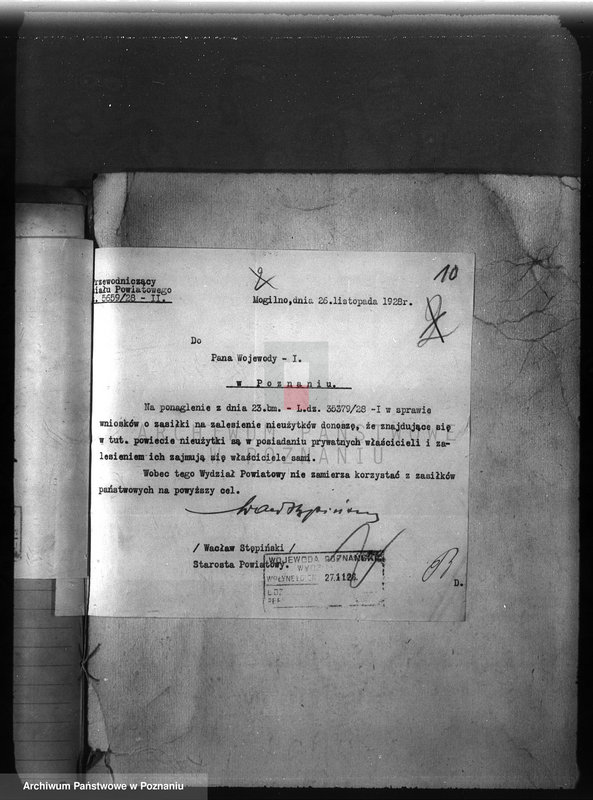 Obraz 14 z jednostki "Zalesienie nieużytków w powiecie mogileńskim"