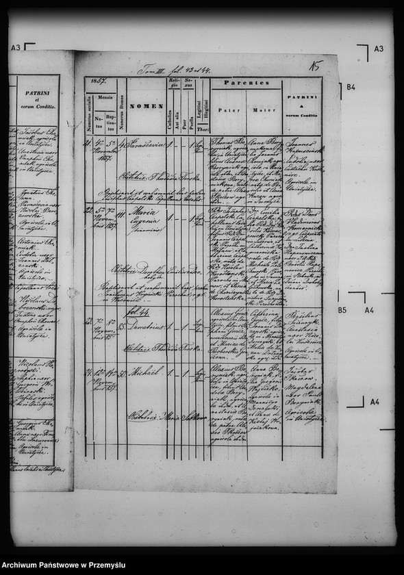 Obraz 19 z jednostki "[Kopie ksiąg metrykalnych parafii Uniatycze (dekanat Drohobycz)]"
