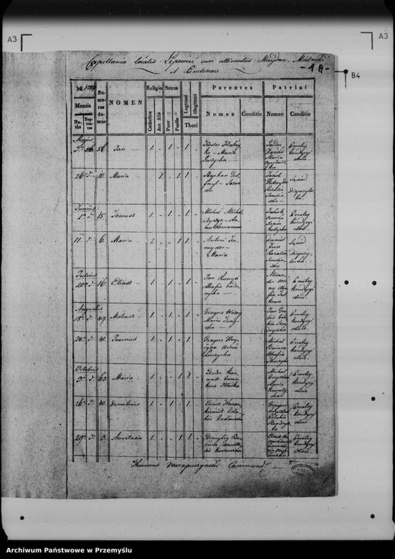 Obraz 6 z jednostki "[Kopie ksiąg metrykalnych parafii Lipowiec (dekanat Lubaczów)]"