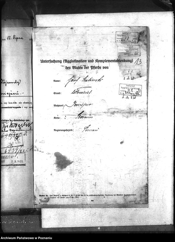 Obraz 19 z jednostki "Nosacizna - Koźmin"