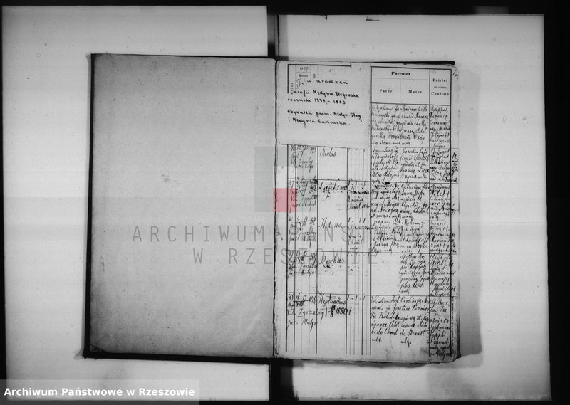 image.from.unit "Księga urodzeń Medynia Głogowska i Medynia Łańcucka"