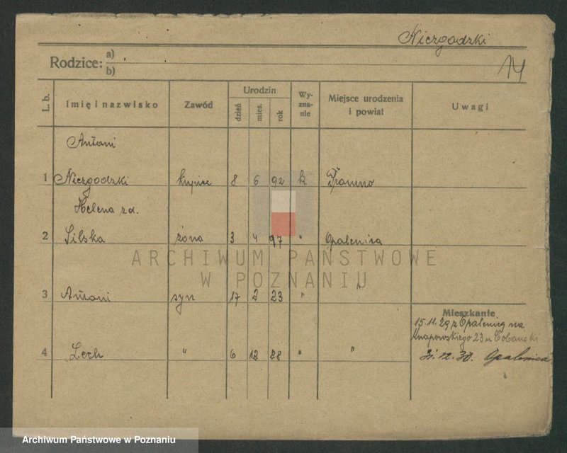 image.from.unit.number "Niezdarowa - Niklewski"