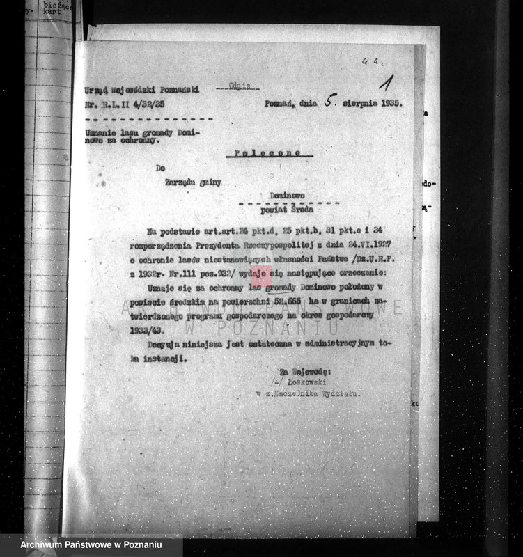 Obraz 5 z jednostki "Las gromady Dominowo powiat średzki"