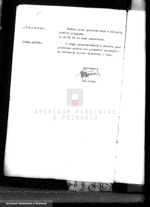 Obraz 15 z jednostki "Nadzór nad gospodarką w lasach majątku Lubinia-Wielka w powiecie jarocińskim"