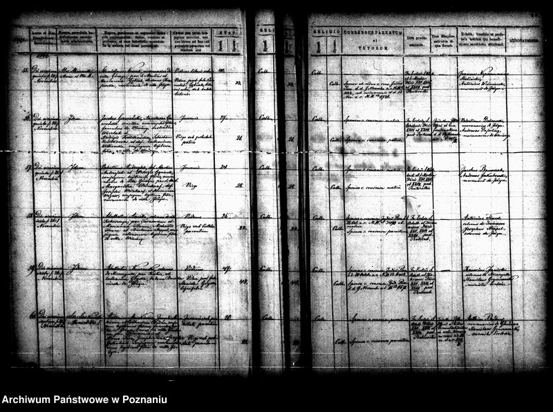 Obraz 15 z jednostki "Księga małżeństw"
