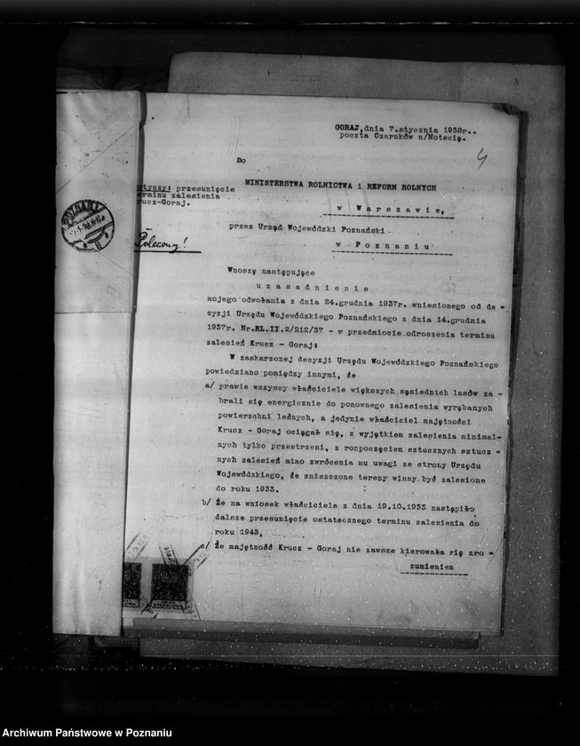 Obraz 10 z jednostki "Sprawa zalesienia majątku Krucz-Goraj"