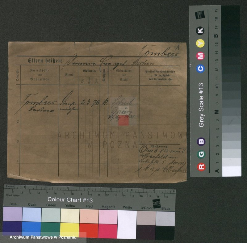 Obraz 5 z jednostki "Tombers - Tomczak (żonaci - samotni mężczyźni)"