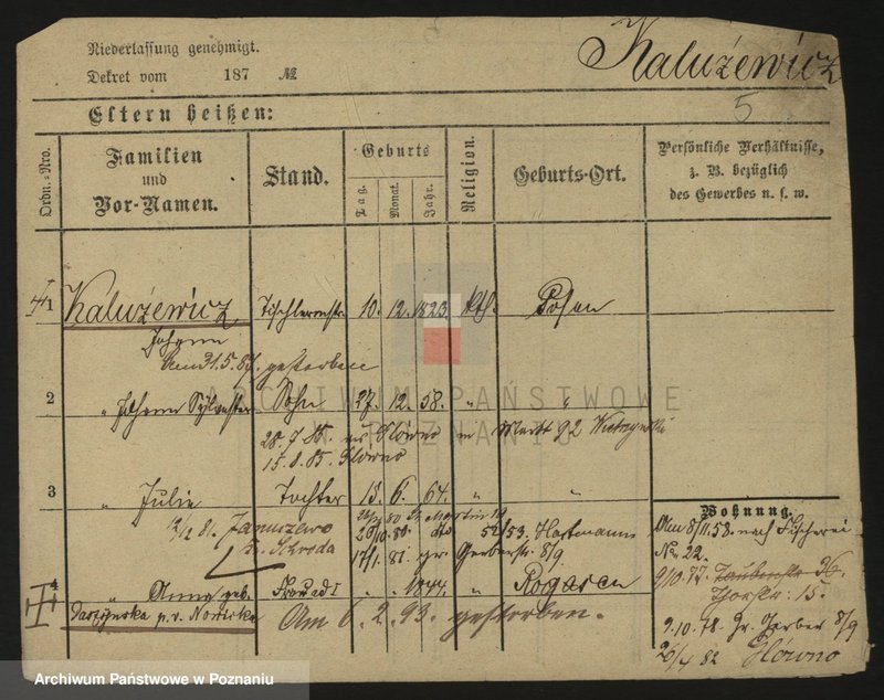 Obraz 5 z jednostki "Kałużewicz - Kaminowski"