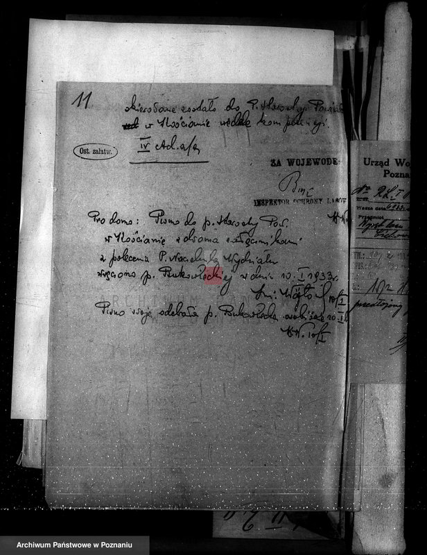 Obraz 15 z jednostki "Nadzór nad gospodarką w lasach majętności Cichowo powiat kościański"