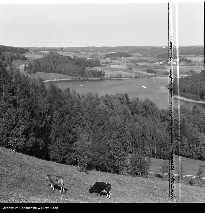 image.from.unit.number "Jezioro Jaczno i Smolniki, okolice Suwałk."