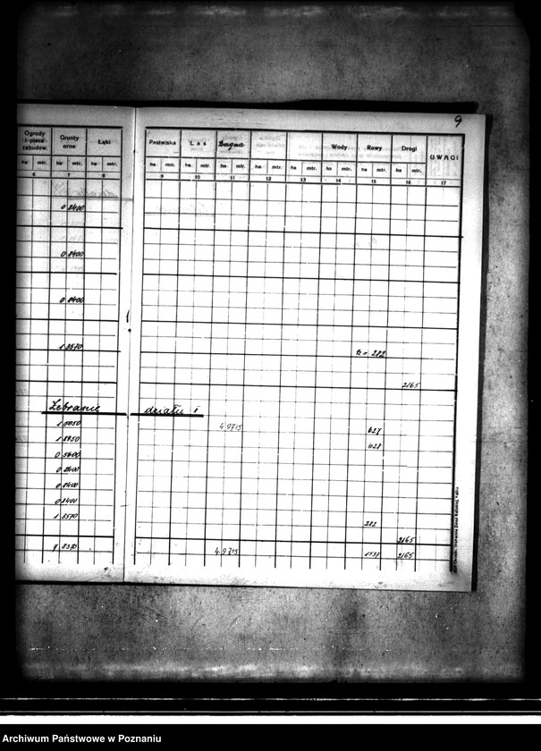 Obraz 14 z jednostki "Rejestr pomiarowy majątku Kaliska powiatu konińskiego"