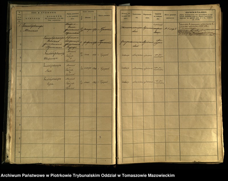 Obraz 6 z jednostki "[Księga ludności stałej miasta Brzezin tom I]"