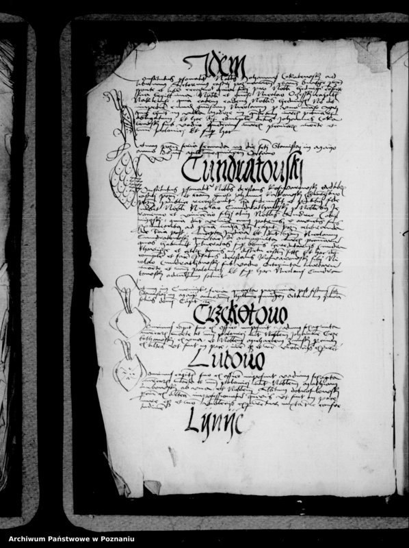 Obraz 6 z jednostki "Inscriptiones, relationes, decreta [inducta]"