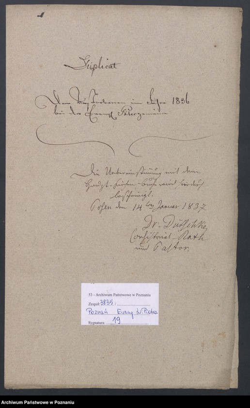 Obraz 2 z jednostki "Duplikat der Verstorbenen"