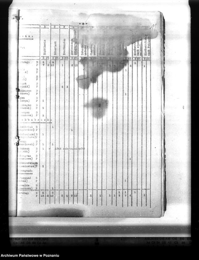 Obraz 17 z jednostki "Statistik der Krankheiten im Wartheland"