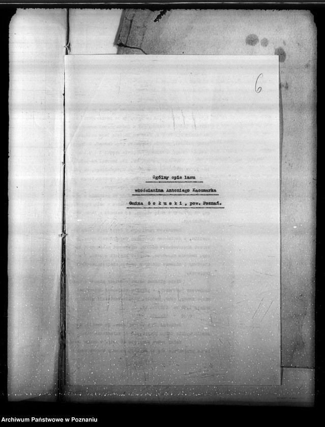 Obraz 9 z jednostki "Program urządzenia gospodarstwa leśnego lasu St. A i M Kaczmarków w gminie Gołuski powiat poznański 1930-1940"