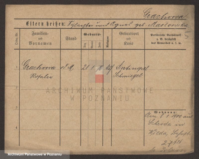 Obraz 7 z jednostki "Grage - Gralinski"