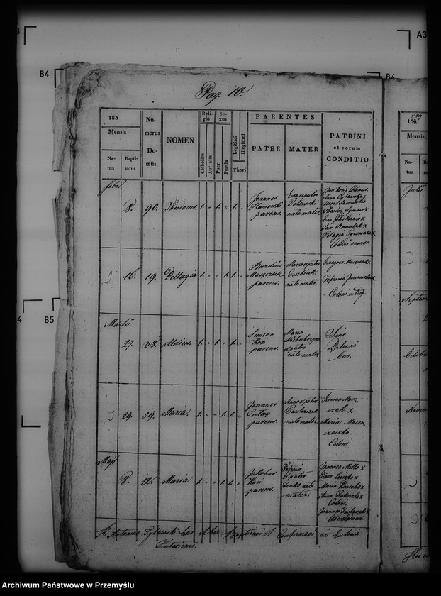 Obraz 14 z jednostki "[Kopie ksiąg metrykalnych parafii Puławy (dekanat Buków)]"