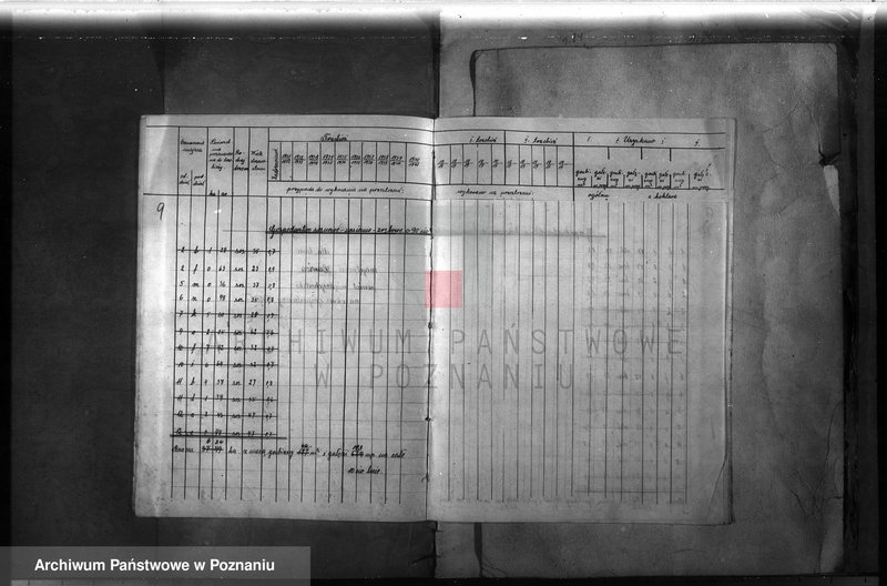 Obraz 12 z jednostki "Majętność leśna Ławica w powiecie międzychodzkim /plan urządzenia gospodarstwa leśnego/"