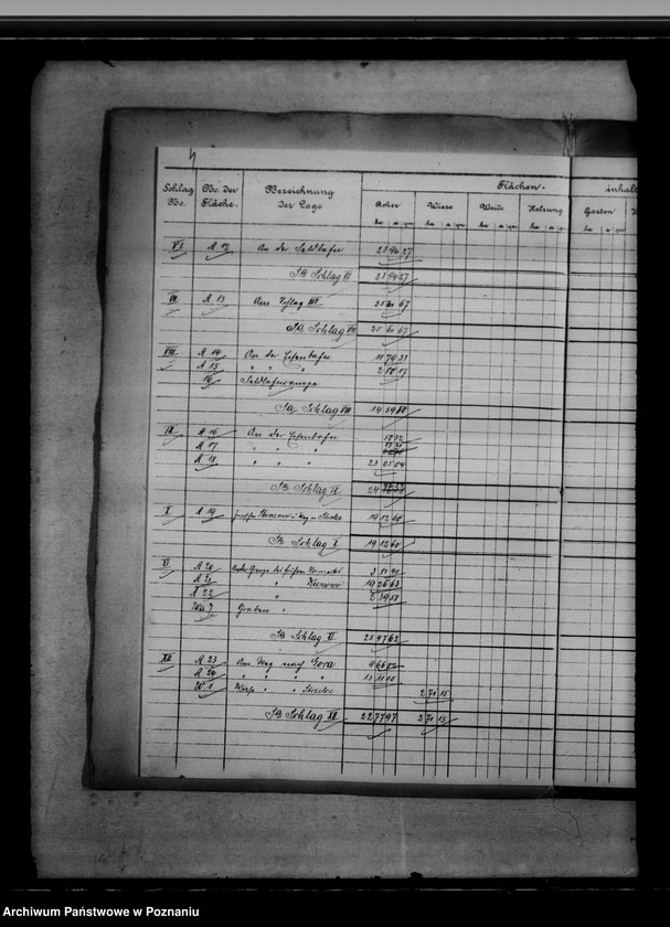 Obraz 8 z jednostki "Vermessungsregister von der Königlichen Domäne Kunowo"