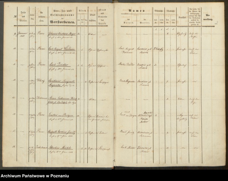 Obraz 3 z jednostki "Sterbenbuch"