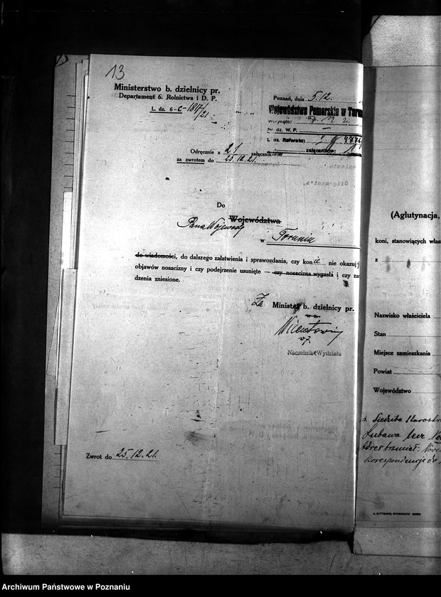 Obraz 17 z jednostki "Nosacizna - Lubawa"