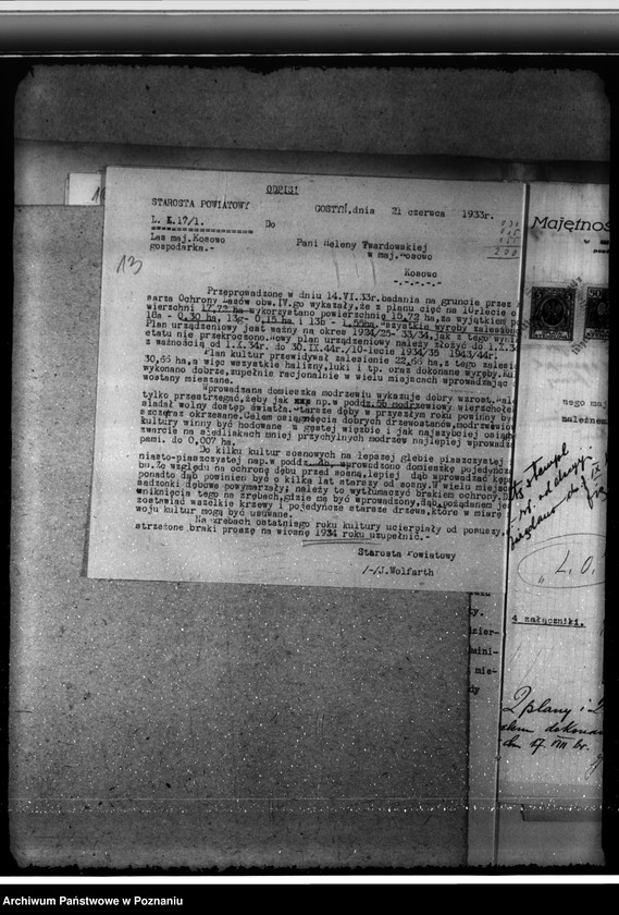 Obraz 17 z jednostki "Nadzór nad gospodarką w lasach majątku Kosowo w powiecie gostyńskim"